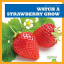 Watch a Strawberry Grow cover