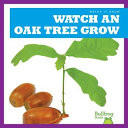 Watch an Oak Tree Grow cover