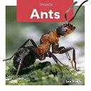 Ants cover