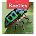 Beetles cover