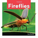 Fireflies cover
