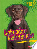 Labrador Retrievers cover