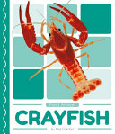 Crayfish cover