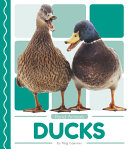 Ducks cover