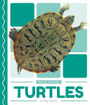Turtles cover