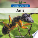 Ants cover