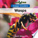 Wasps cover