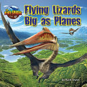 Flying Lizards Big as Planes cover