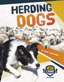 Herding Dogs cover