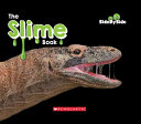 The Slime Book cover