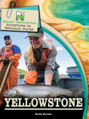 Yellowstone cover