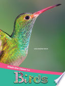 Birds cover