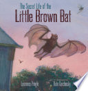 The Secret Life of the Little Brown Bat cover