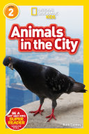 Animals in the City cover