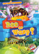 Bee or Wasp? cover