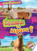 Llama or Alpaca? cover