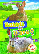 Rabbit or Hare? cover