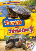 Turtle or Tortoise? cover