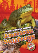 American Bullfrogs cover