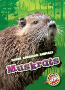 Muskrats cover