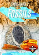 Fossils cover
