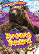 Brown Bears cover