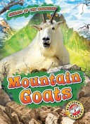 Mountain Goats cover