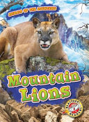 Mountain Lions cover