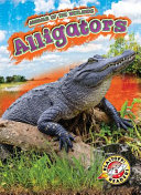Alligators cover