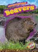 Beavers cover