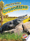 Crocodiles cover