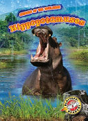 Hippopotamuses cover