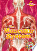 The Muscular System cover