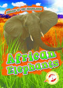 African Elephants cover