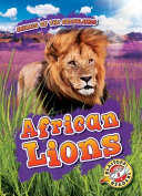 African Lions cover