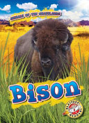 Bison cover