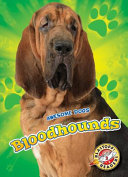 Bloodhounds cover