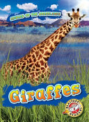 Giraffes cover