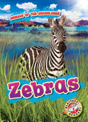 Zebras cover