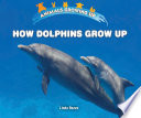 How Dolphins Grow Up cover