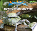 How Turtles Grow Up cover