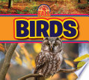 Birds (All About Fall) cover