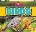 Birds (All About Spring) cover