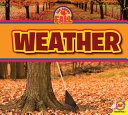 Weather (All About Fall) cover