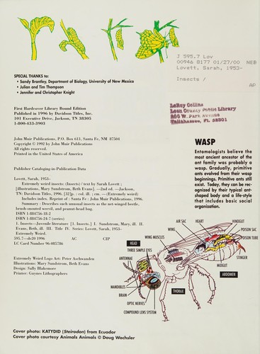 Extremely Weird Insects cover