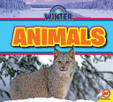 Animals (All About Winter) cover