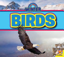 Birds (All About Winter) cover
