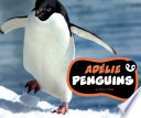 Adélie Penguins cover