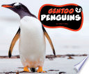 Gentoo Penguins cover