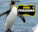 King Penguins cover